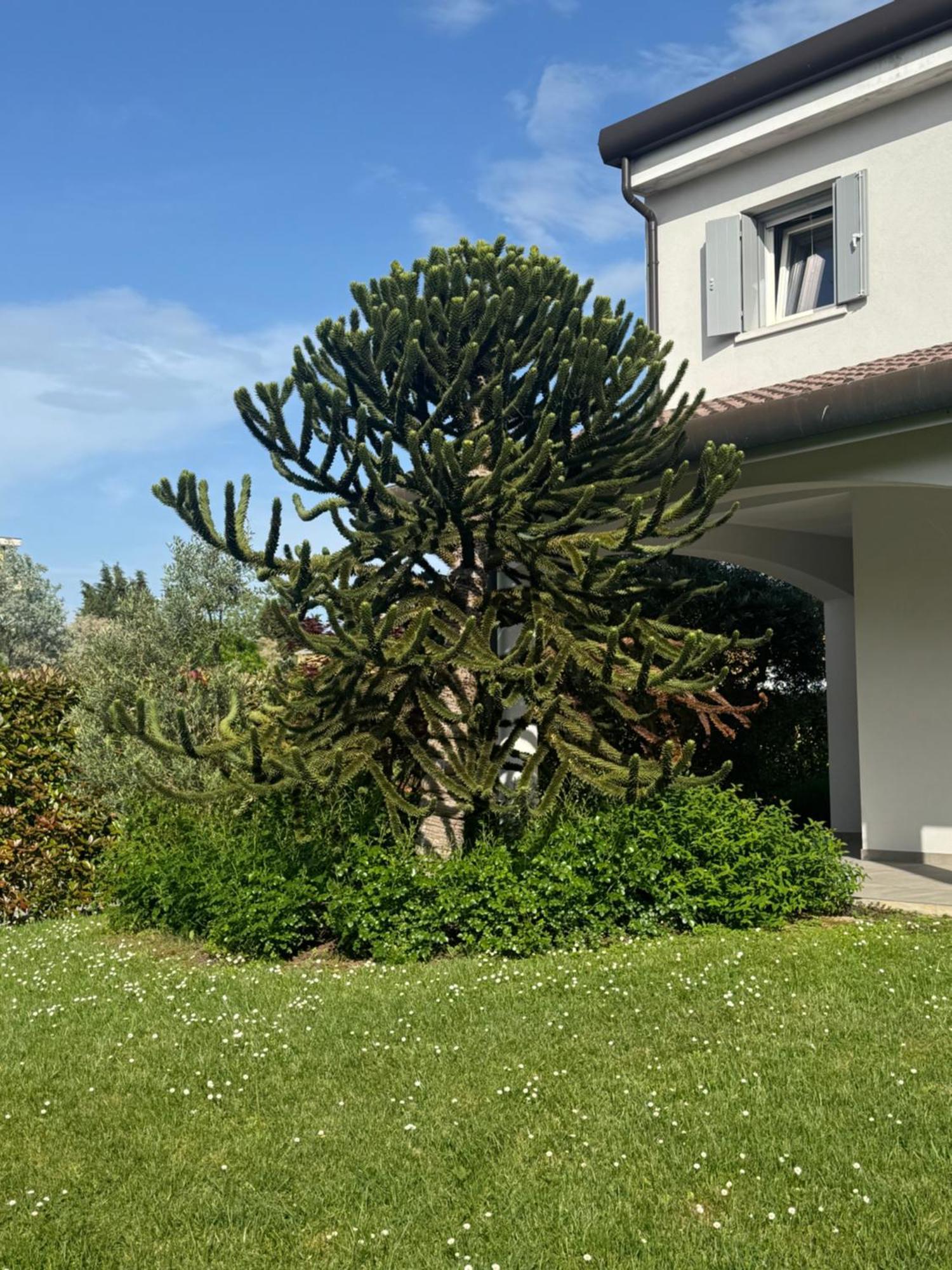 Amazing Private Villa Caorle